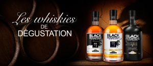 SOCIETE IMPORT EXPORT EUROPE - AFRIQUE