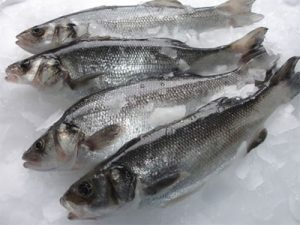 import et export de poissons europe asie afrique