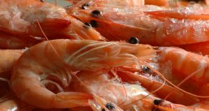 importation et exportation de crevettes congelés bordeaux